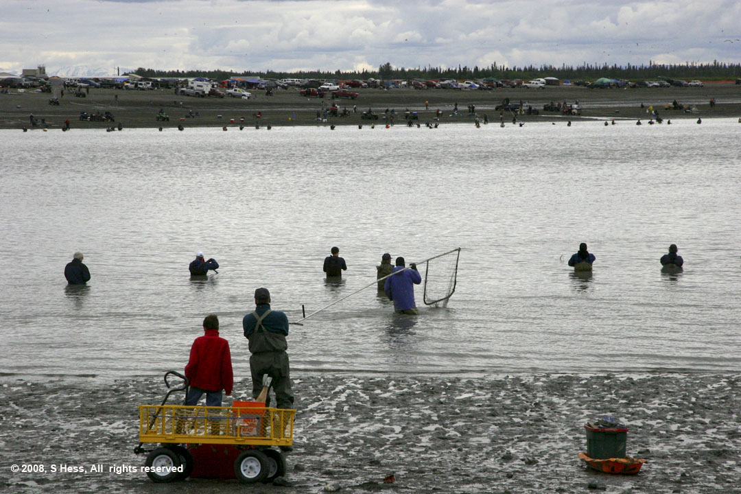 Dipnetting at the mouth of the Kenai River